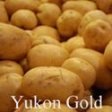 (image for) Yukon Gold